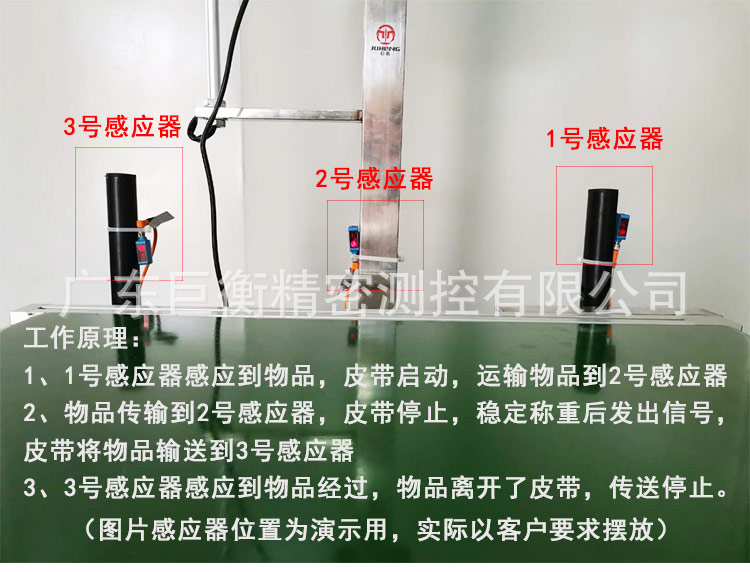 皮帶電子秤
