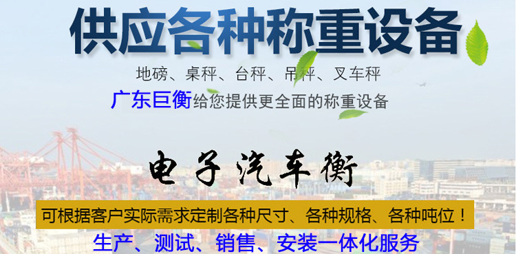 防爆式電子汽車衡